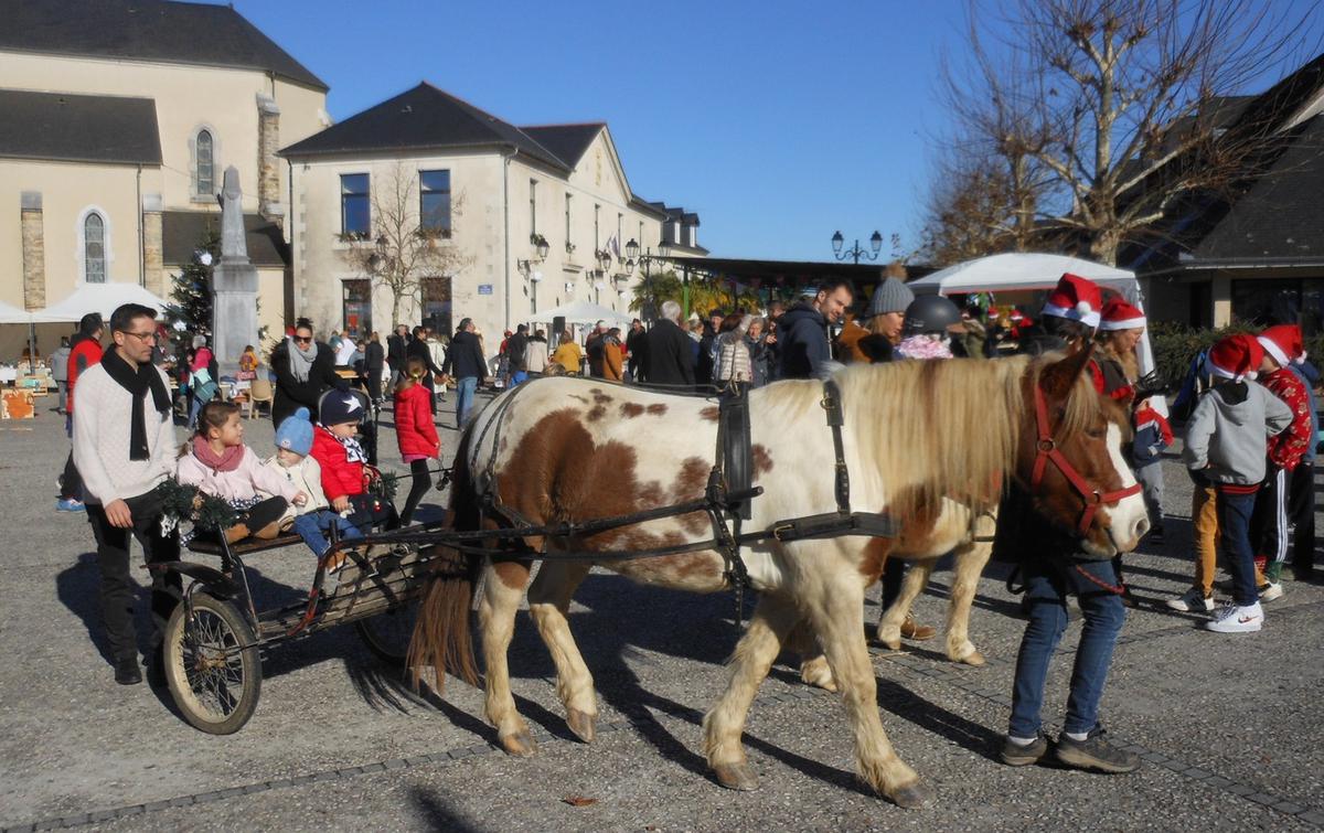 Le poney M & M’S a amené les enfants faire un tour en calèche dans les rues du village.